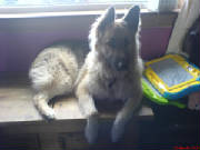 dsc00013.jpg