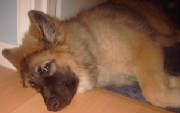 pict0934.jpg