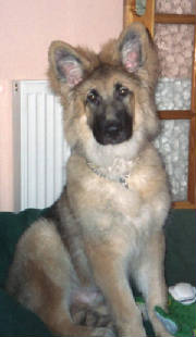 zak6.jpg
