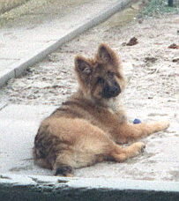 zak4.jpg